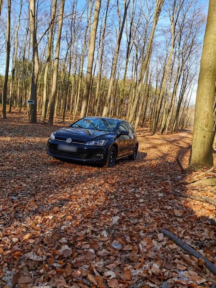 Volkswagen Golf 7