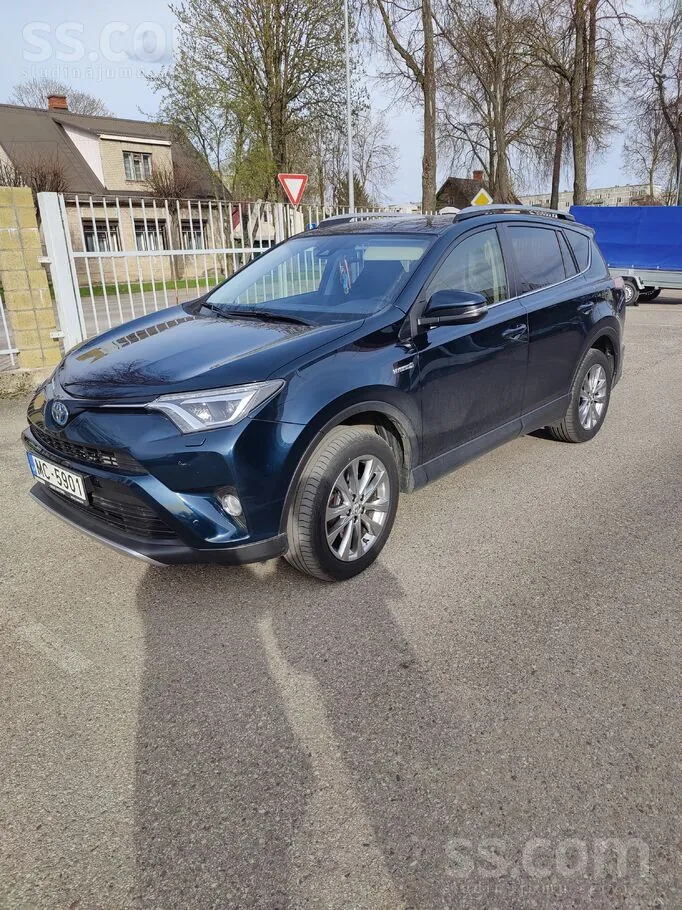Toyota Rav4 Hybrid 2019 photo 3