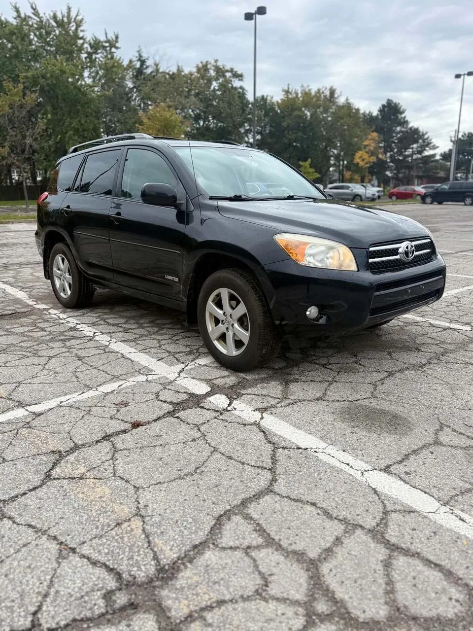 Toyota Rav4 2008 photo 2
