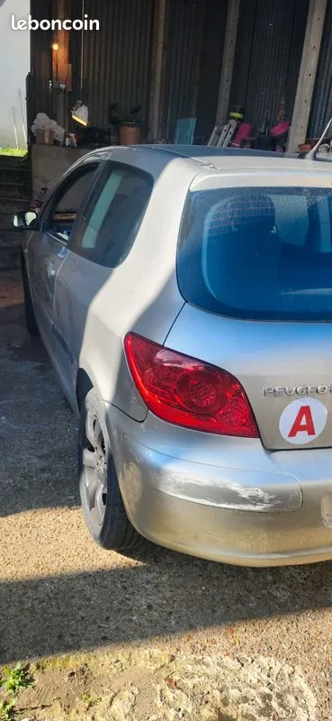 Peugeot 307