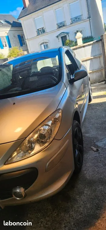 Peugeot 307 2006 photo 2