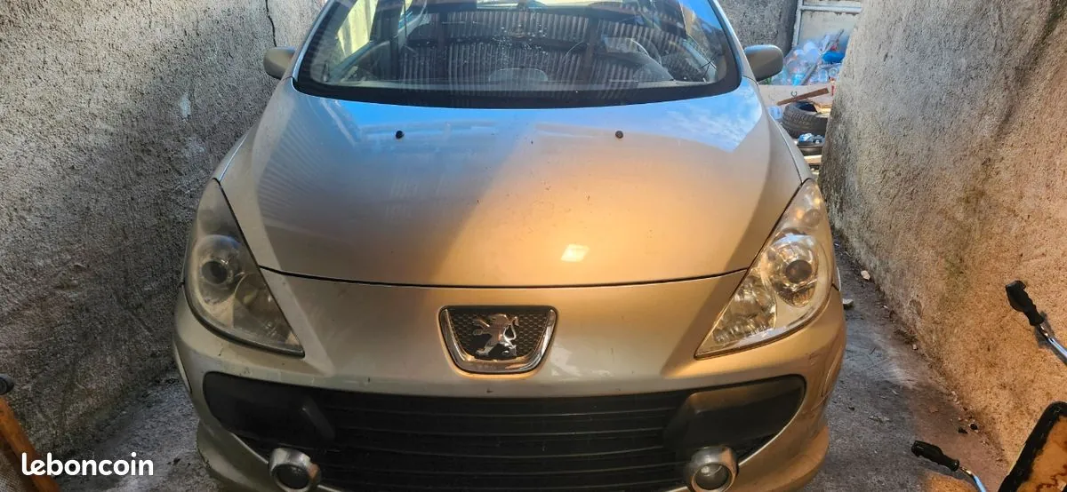 Peugeot 307 2006 photo 3