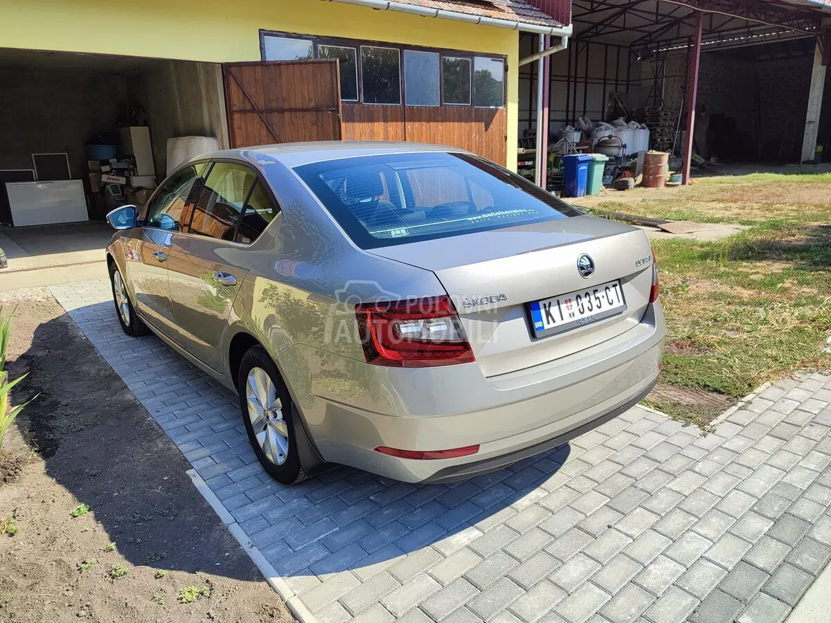 Skoda Octavia 2017 photo 5