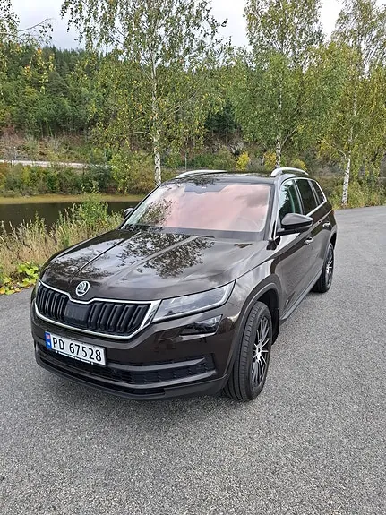 Skoda Kodiaq 2020 photo 2