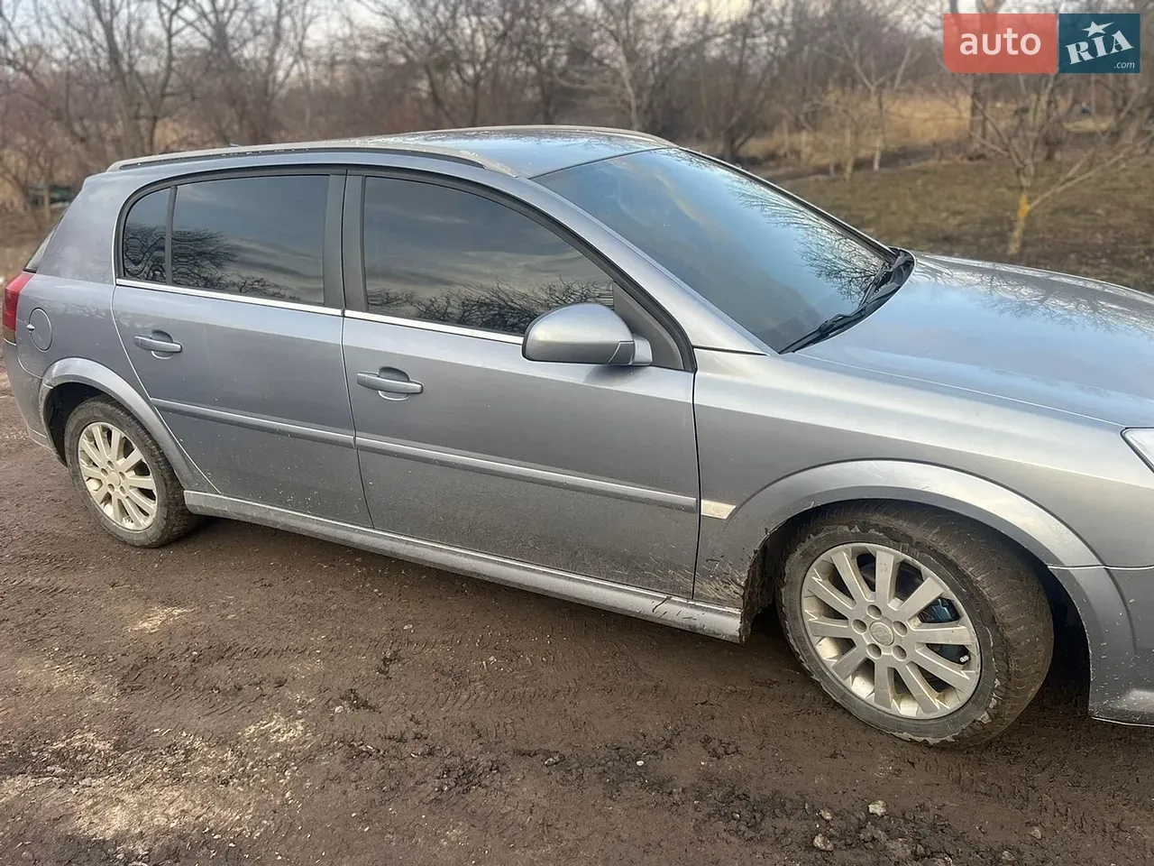 Opel Signum 2005 photo 4
