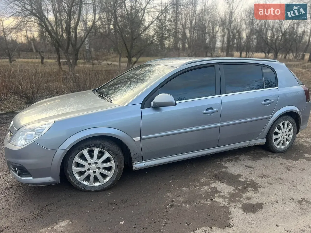 Opel Signum 2005 photo 2