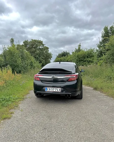 Opel Insignia 2014 photo 2