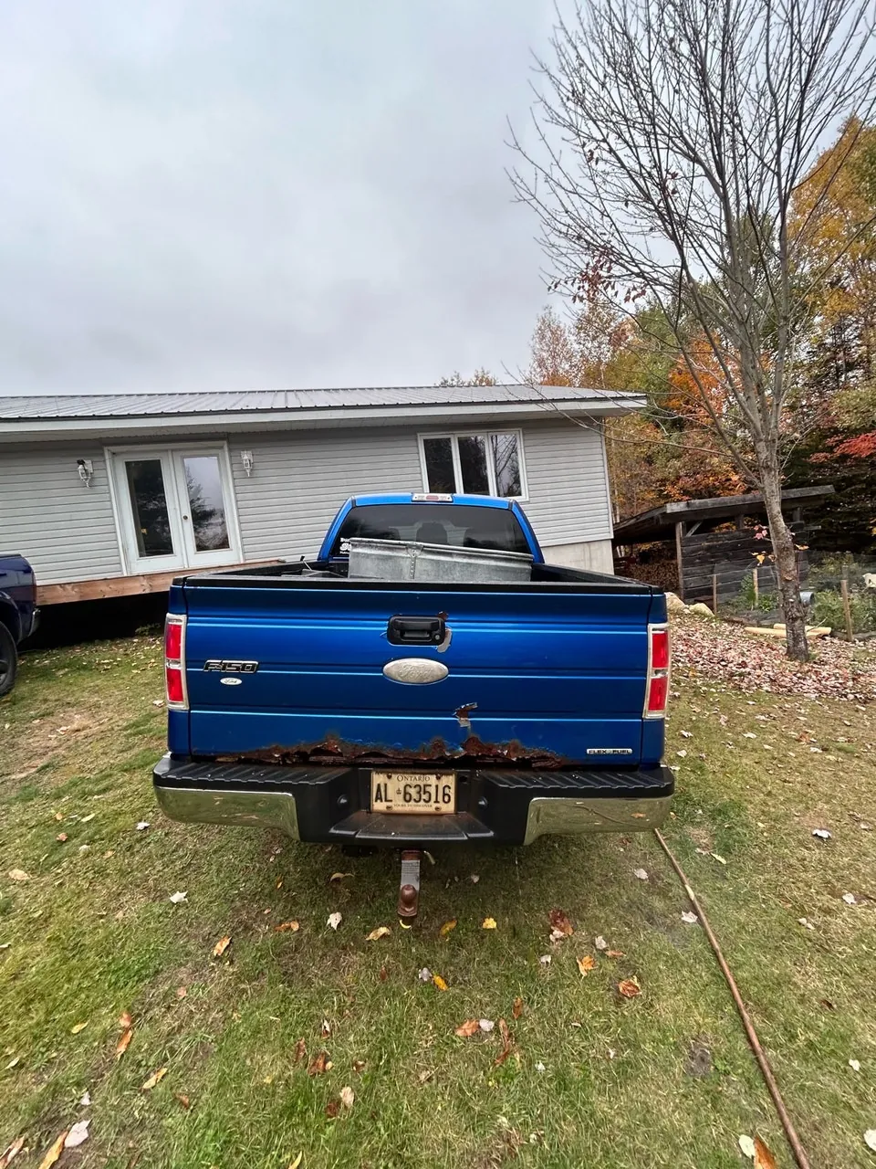 Ford F-150 2011 photo 3