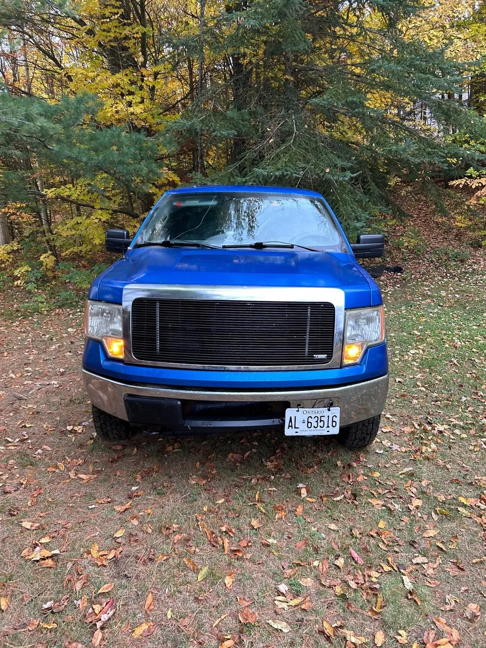 Ford F-150 2011 photo 5