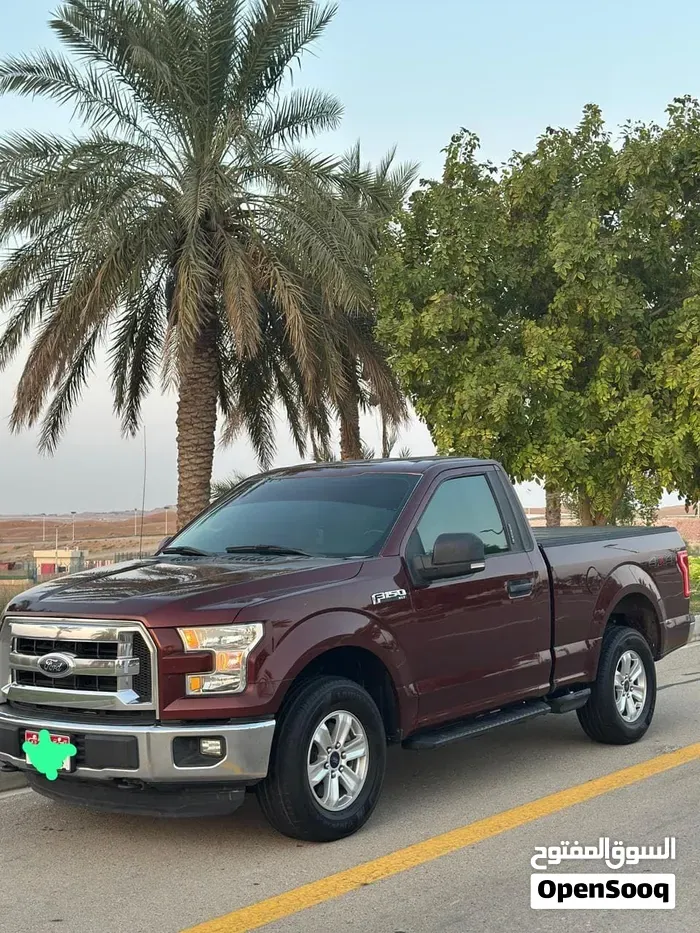 Ford F-150 2016 photo 3