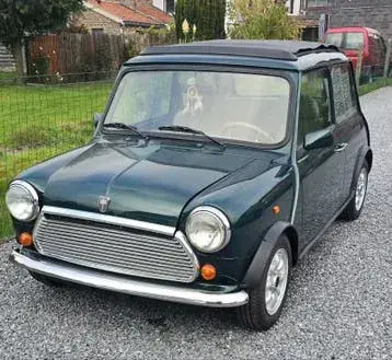 Rover Mini