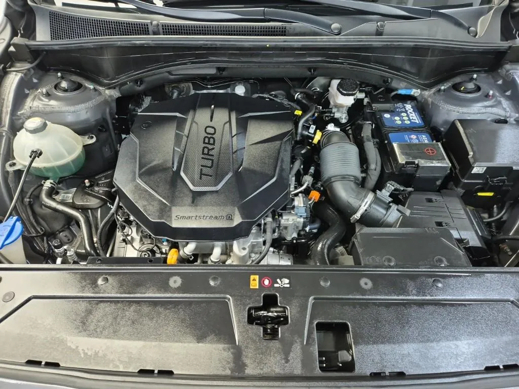 Hyundai Santa Fe 2021 photo 5