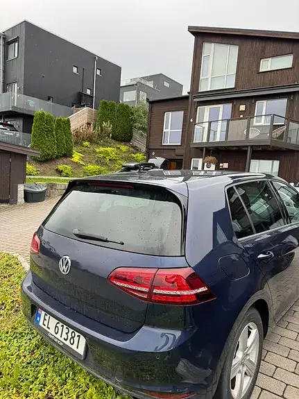 Volkswagen E-Golf Vii 2015 photo 3