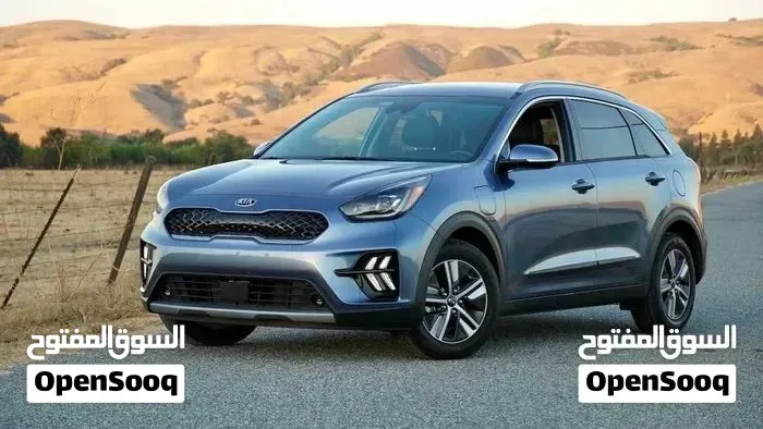 Kia Niro Ev 2020 photo 2