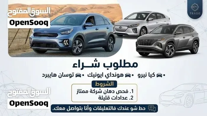 Kia Niro Ev