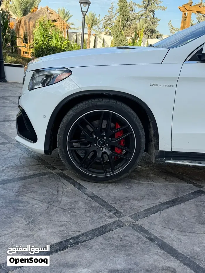 Mercedes-Benz Gle-Class 2018 photo 2