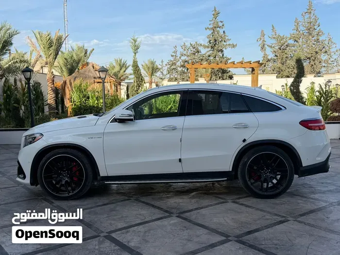Mercedes-Benz Gle-Class 2018 photo 3