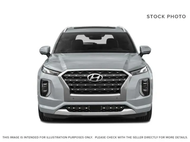 Hyundai Palisade 2020 photo 2