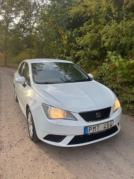 Seat Ibiza 2013 photo 5