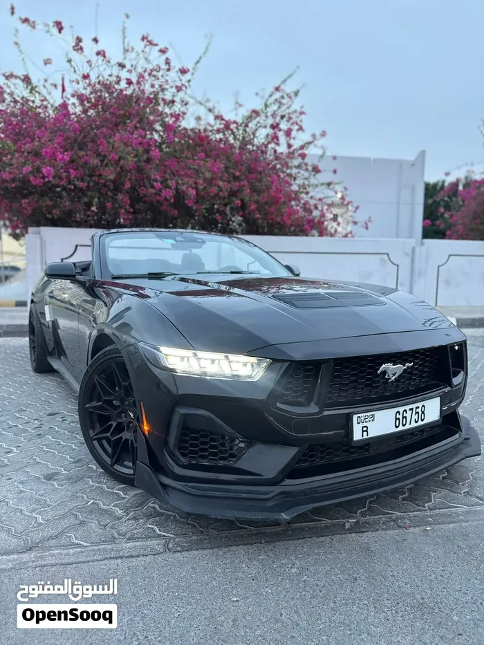 Ford Mustang 2024 photo 4