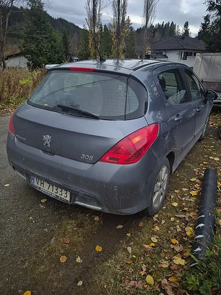 Peugeot 308 2008 photo 3