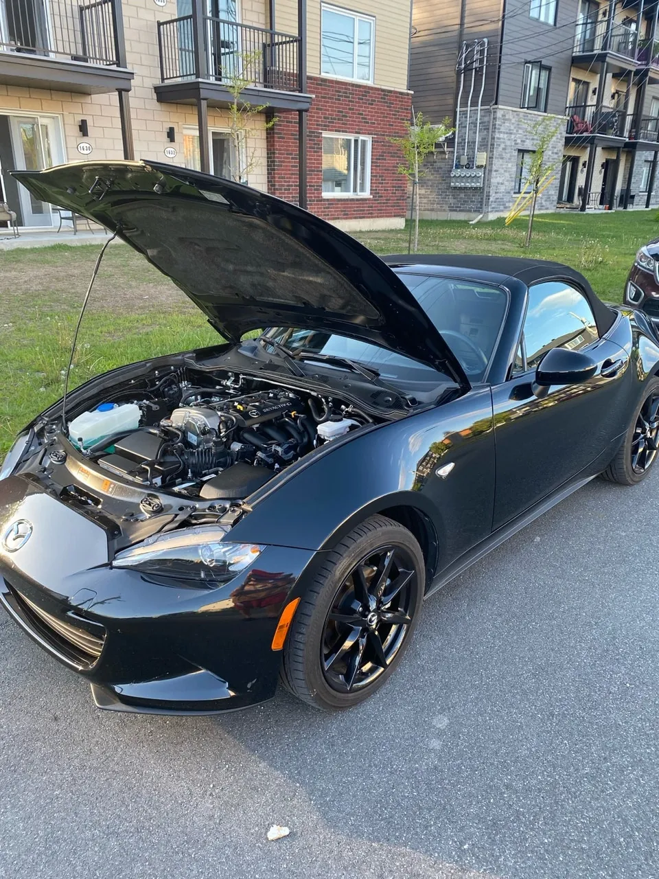 Mazda Mx-5 2022 photo 3