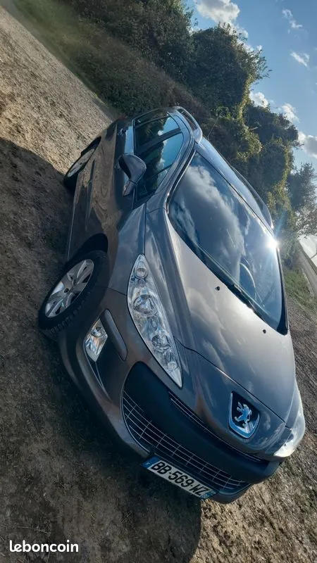 Peugeot 308 2008 photo 3