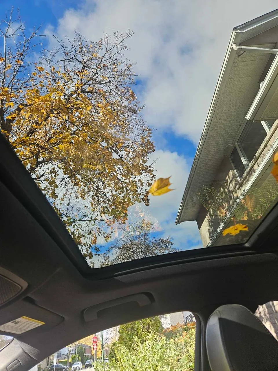Audi Q3 2018 photo 4