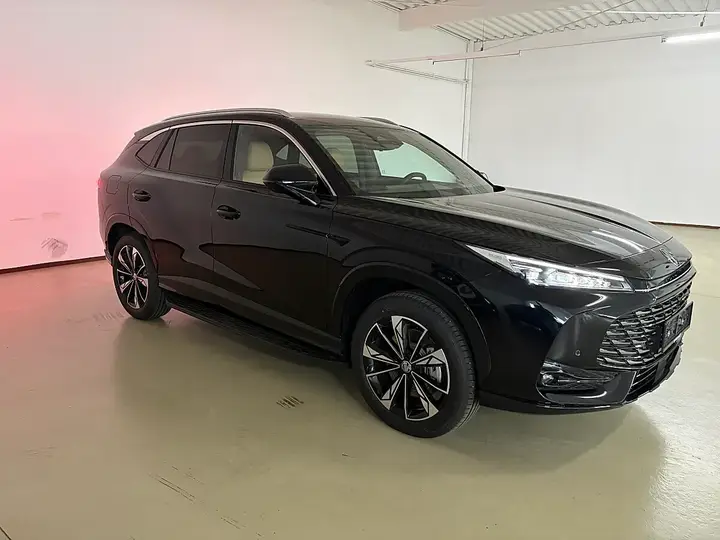 MG Hs