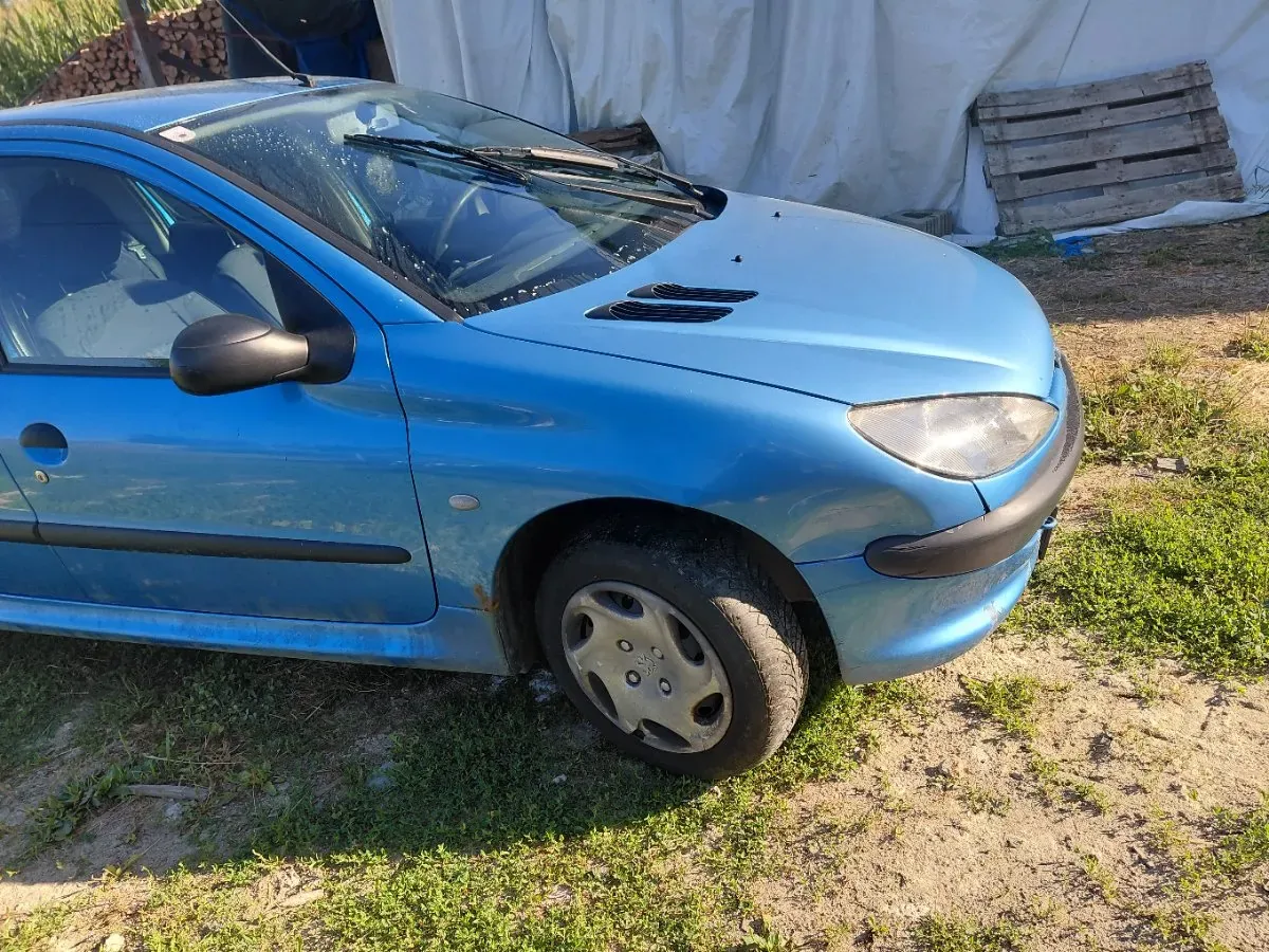 Peugeot 206 2001 photo 3