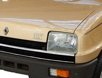 Renault R5