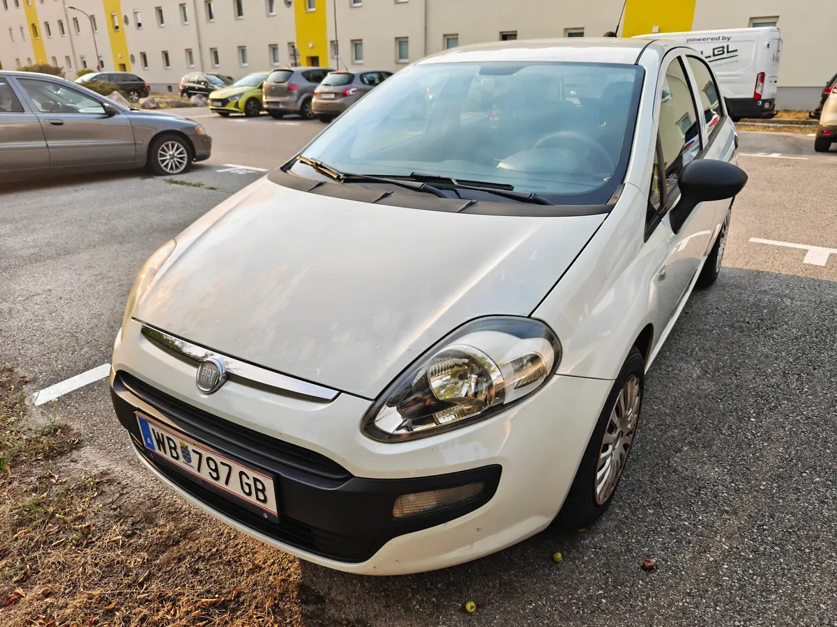 Fiat Punto 2010 photo 3