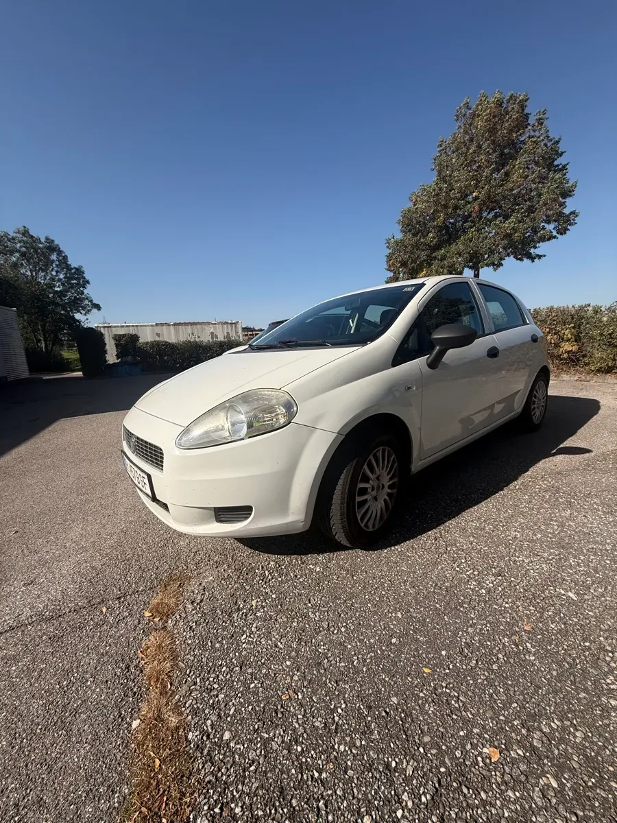 Fiat Punto 2009 photo 2