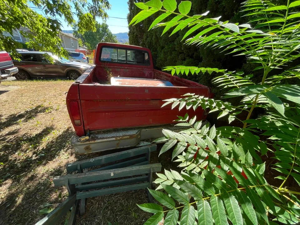 Ford F-100 1975 photo 3