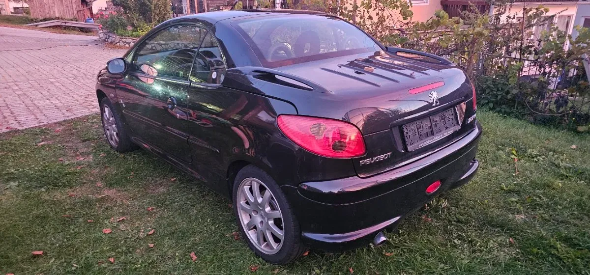 Peugeot 206 2004 photo 2