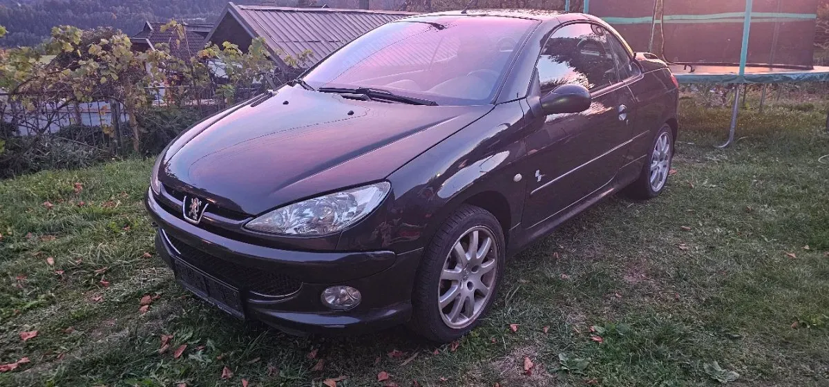 Peugeot 206