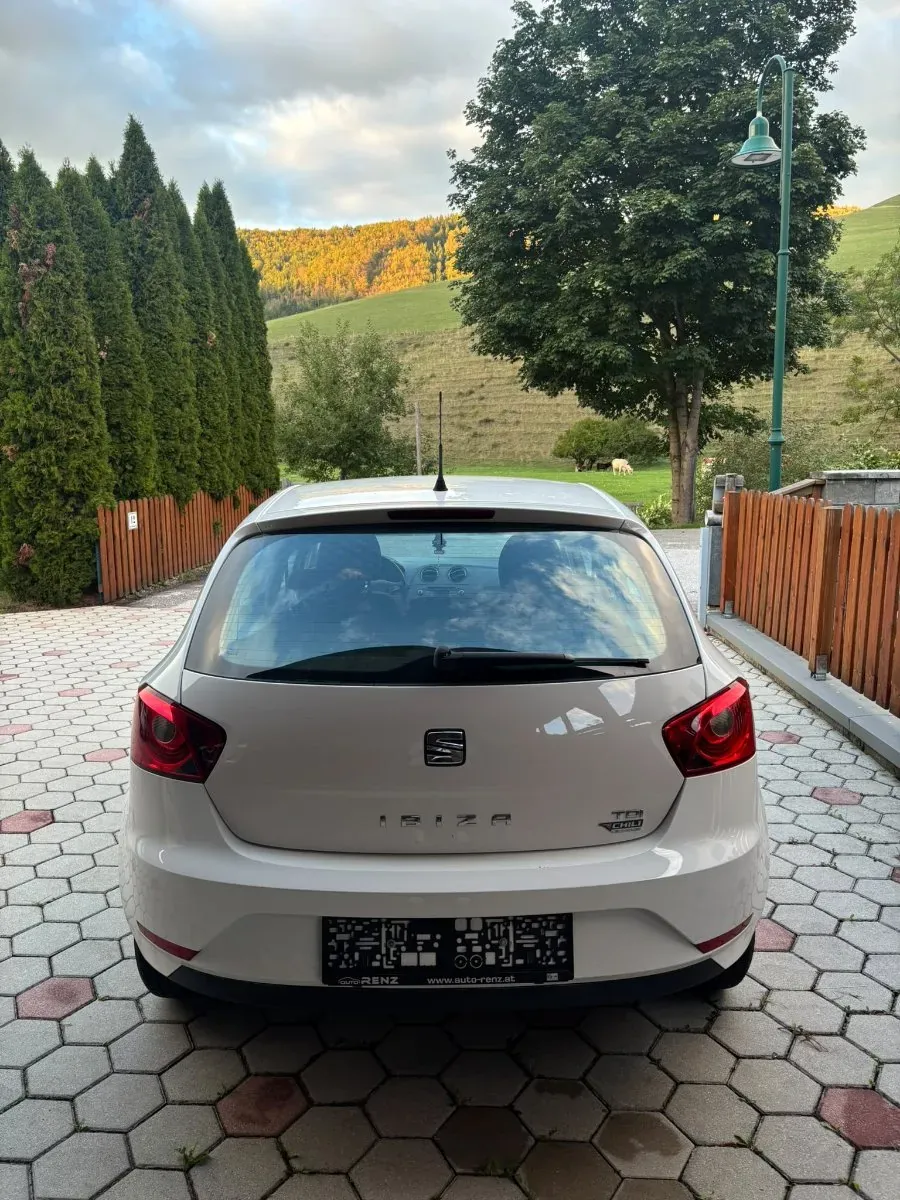 Seat Ibiza 2015 photo 2