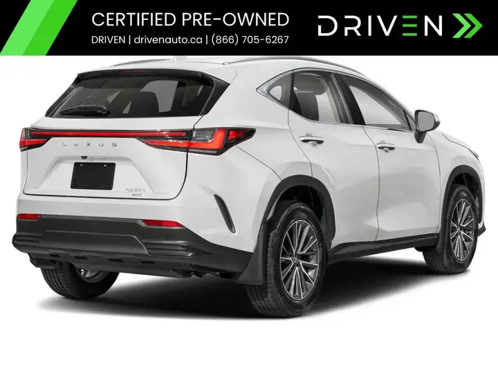 Lexus Nx 2024 photo 2