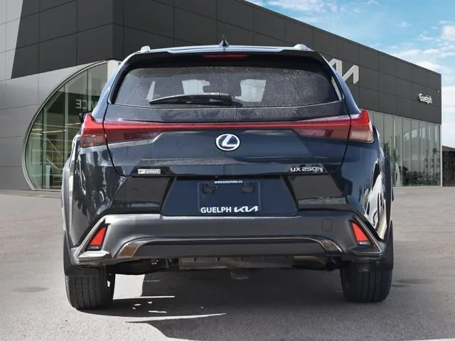 Lexus Ux 2020 photo 5