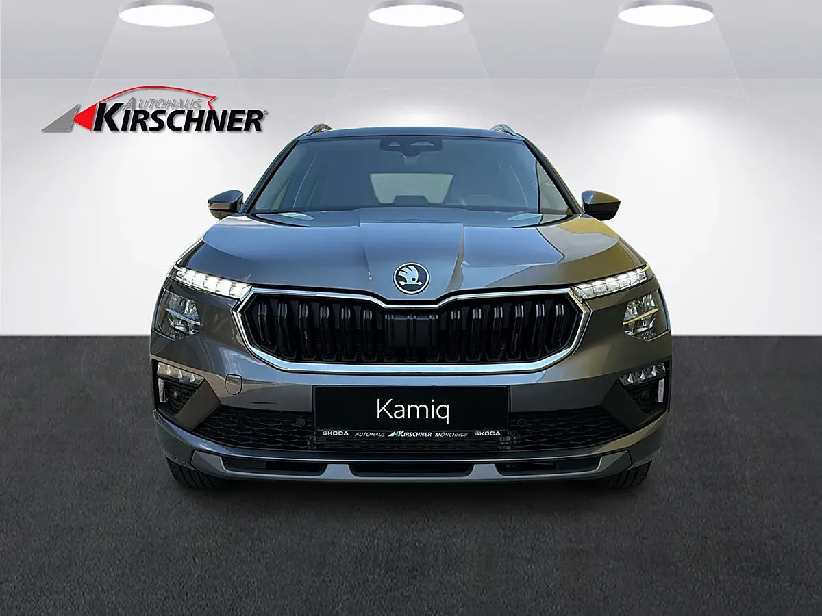 Skoda Kamiq photo 2