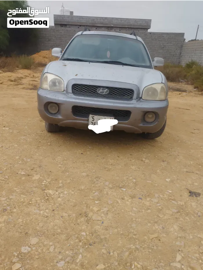 Hyundai Santa Fe 2005 photo 5