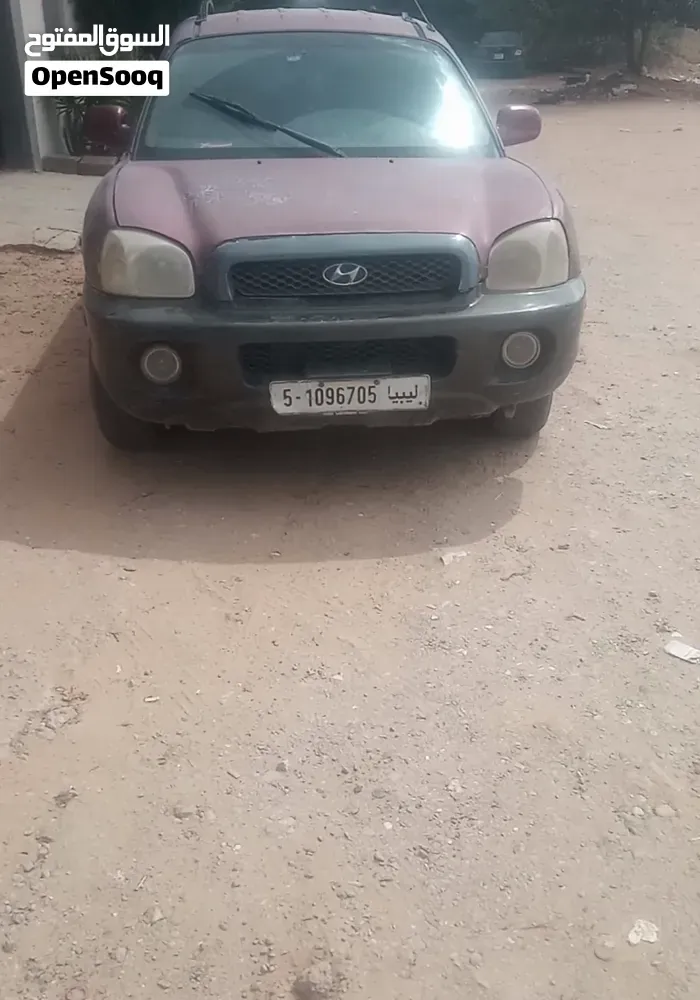 Hyundai Santa Fe 2005 photo 2