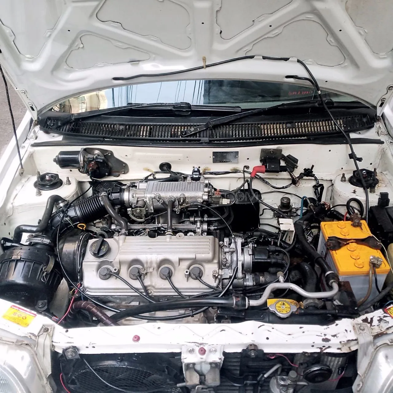 Suzuki Cultus