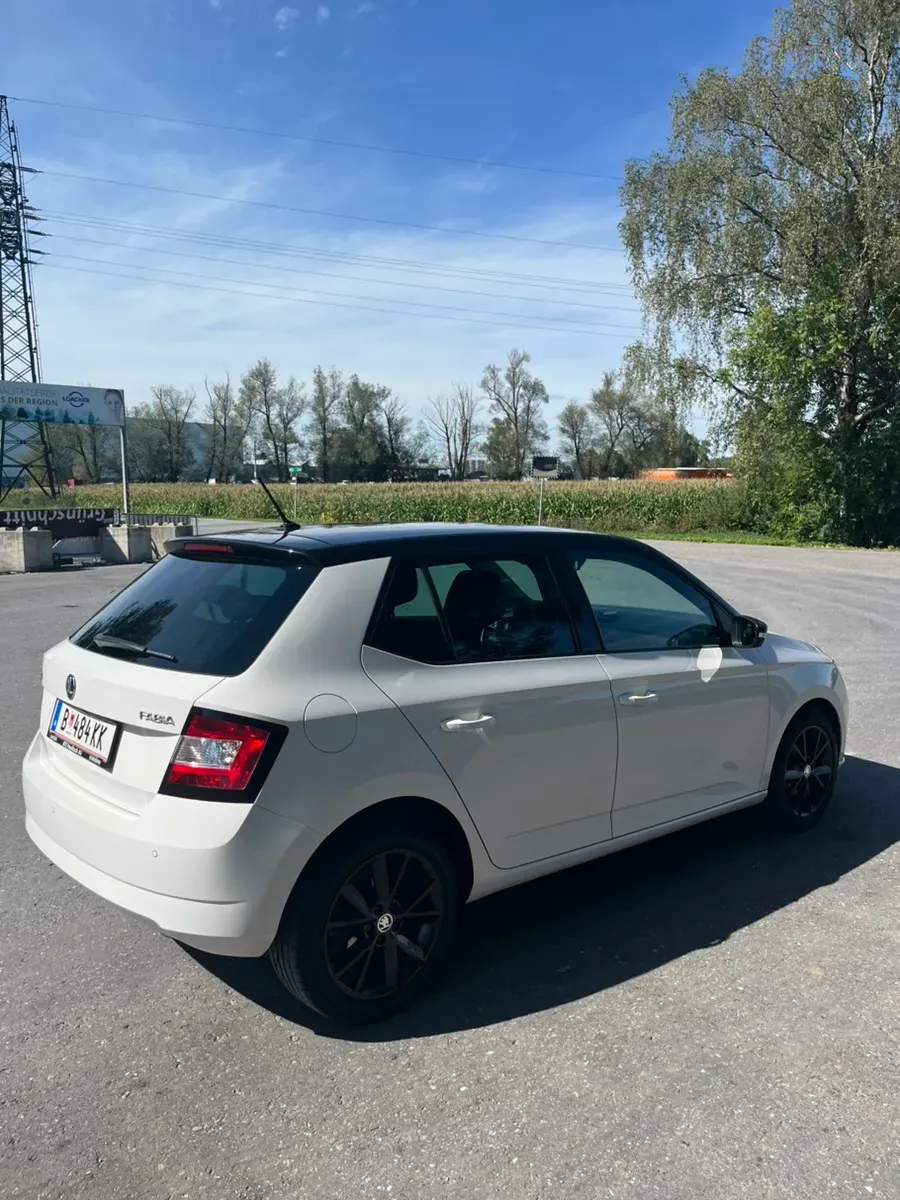 Skoda Fabia 2018 photo 3