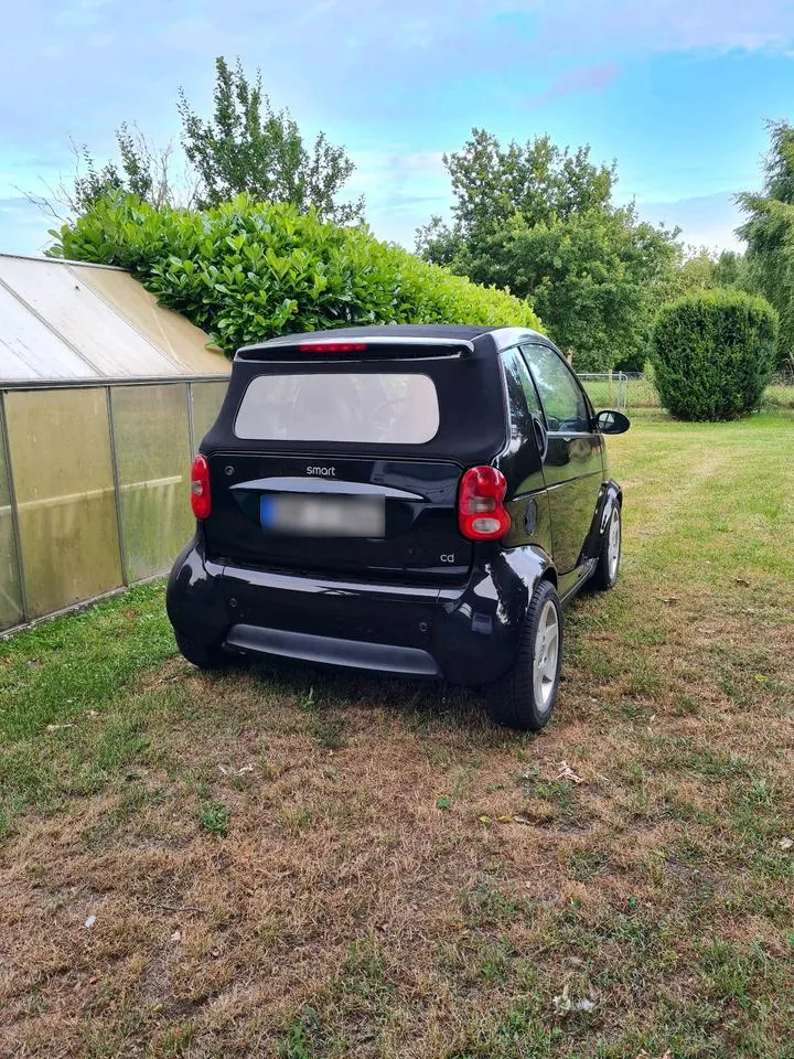 Smart For Two