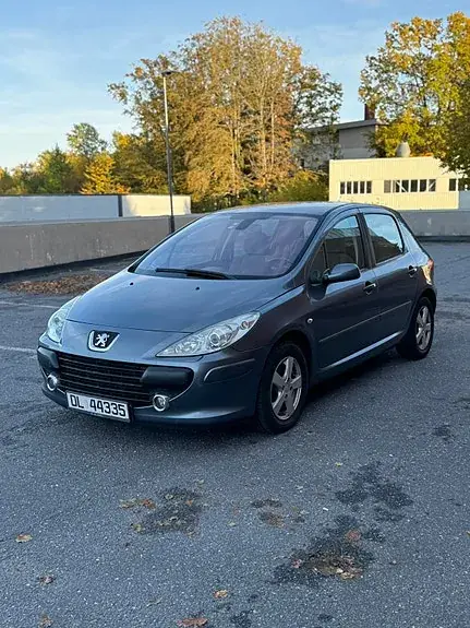 Peugeot 307 2006 photo 2
