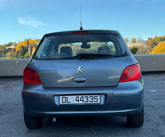 Peugeot 307 2006 photo 5