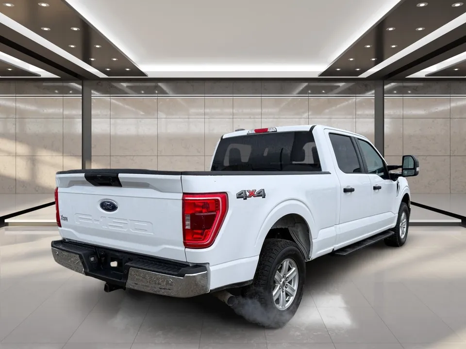 Ford F-150 2023 photo 3