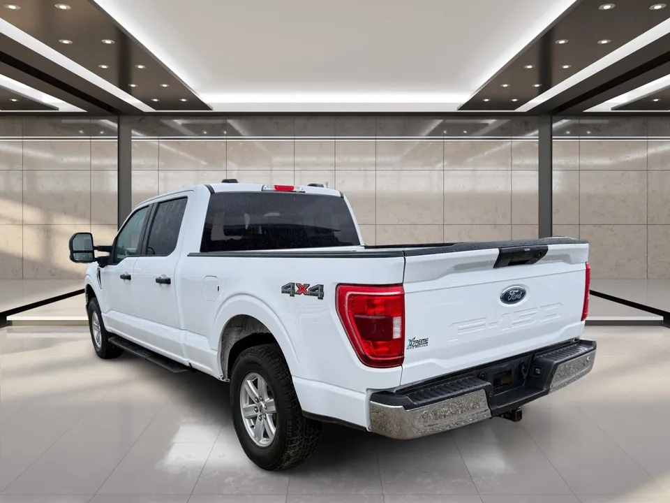 Ford F-150 2023 photo 4