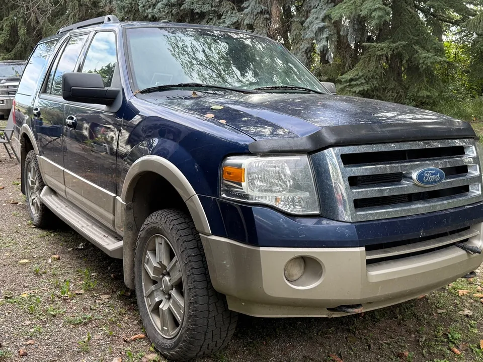 Ford Expedition 2009 photo 2